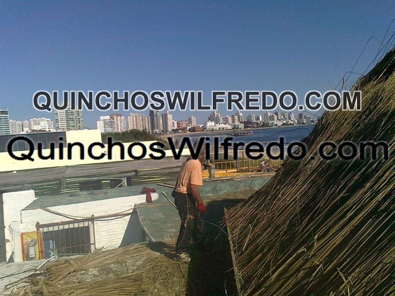 Quinchos Wilfredo