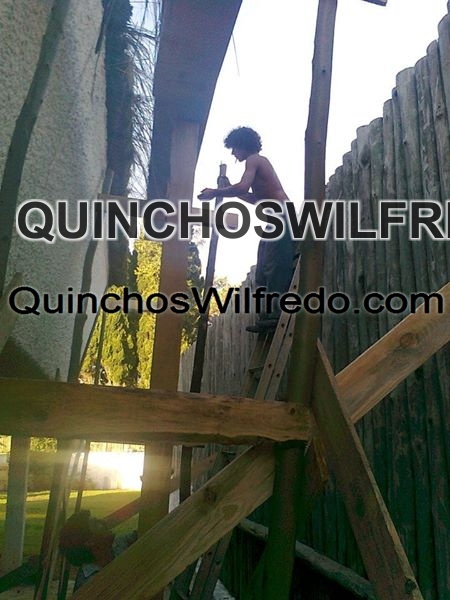 Quinchos Wilfredo