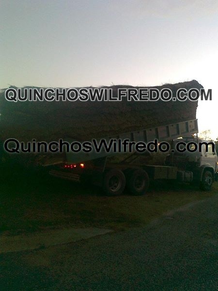 Quinchos Wilfredo