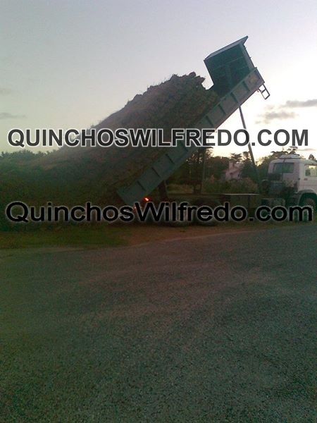 Quinchos Wilfredo