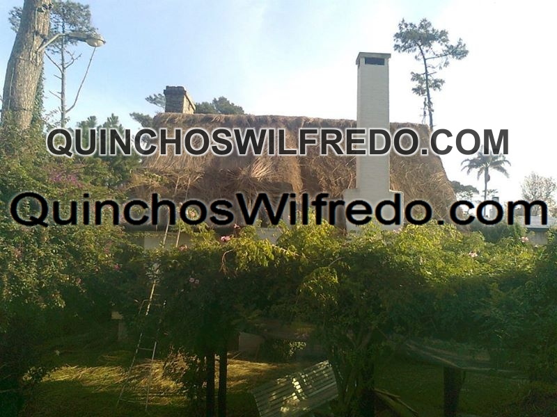 Quinchos Wilfredo
