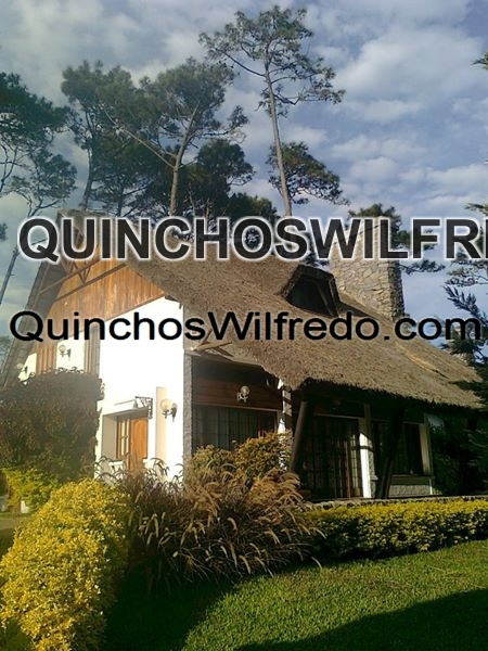 Quinchos Wilfredo