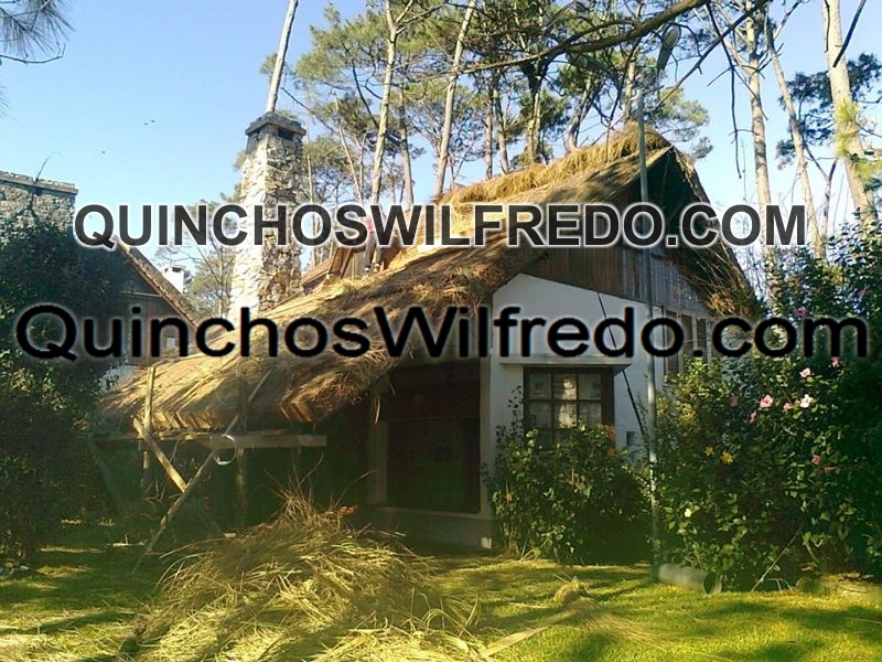 Quinchos Wilfredo