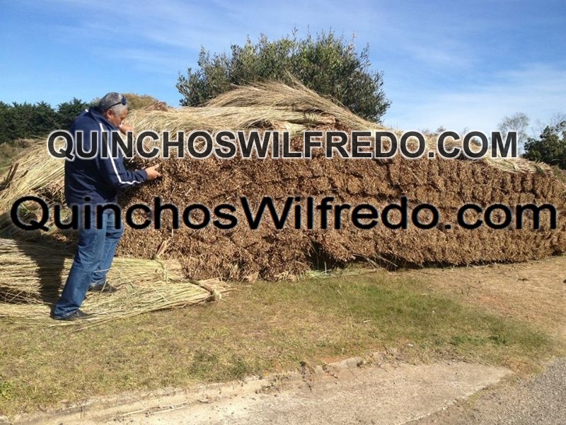 Quinchos Wilfredo
