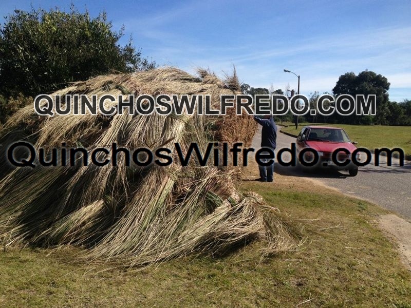 Quinchos Wilfredo