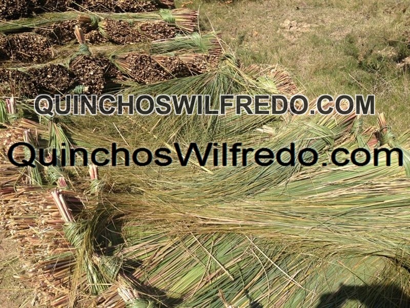 Quinchos Wilfredo