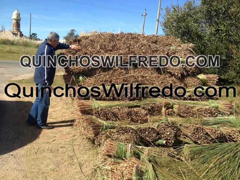 Quinchos Wilfredo