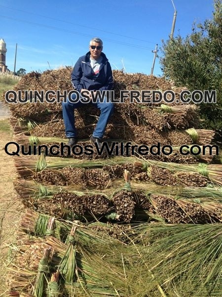 Quinchos Wilfredo