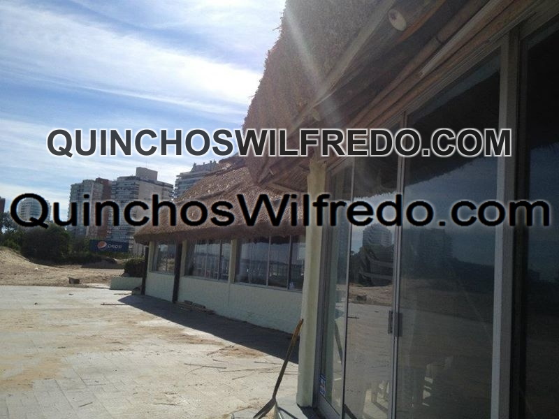 Quinchos Wilfredo