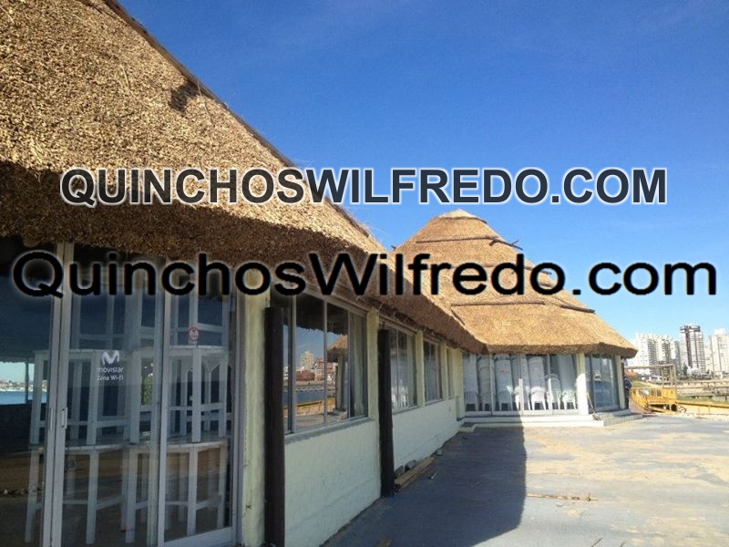 Quinchos Wilfredo