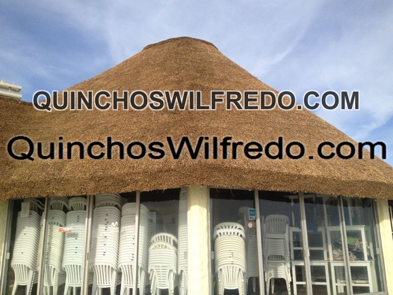 Quinchos Wilfredo