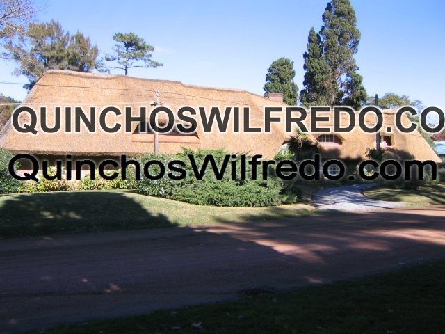 Quinchos Wilfredo