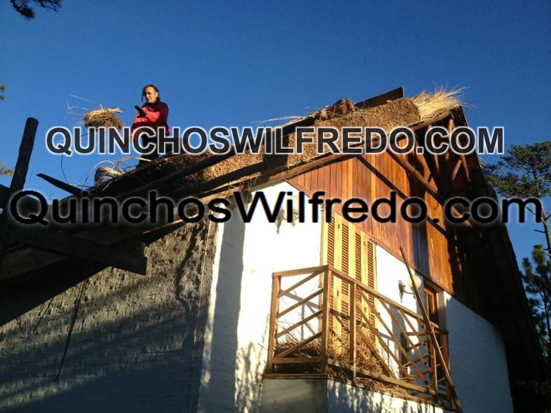 Quinchos Wilfredo