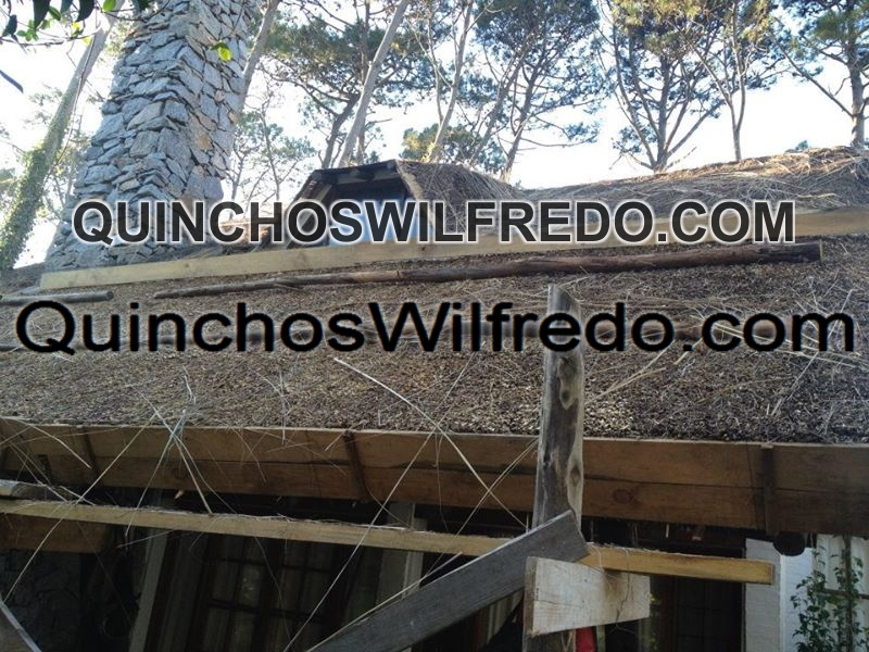 Quinchos Wilfredo