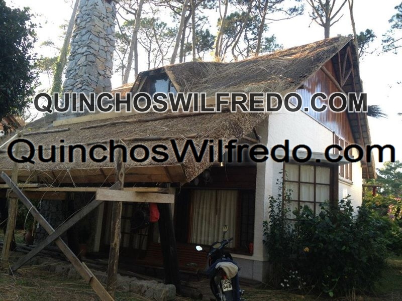 Quinchos Wilfredo