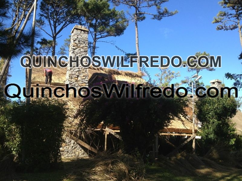 Quinchos Wilfredo