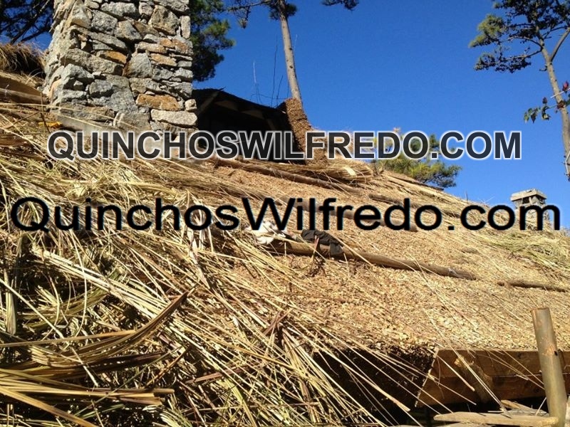 Quinchos Wilfredo