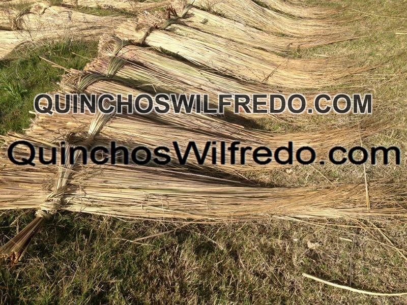 Quinchos Wilfredo