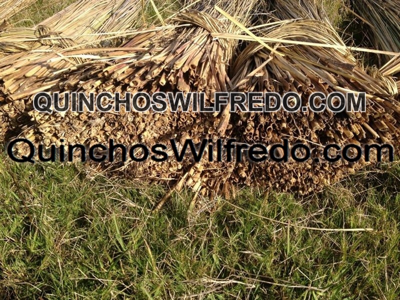 Quinchos Wilfredo