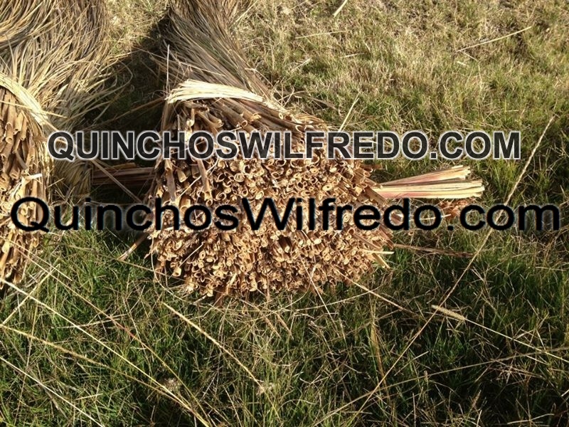 Quinchos Wilfredo