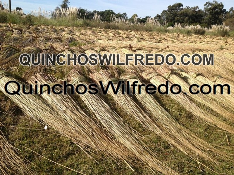 Quinchos Wilfredo