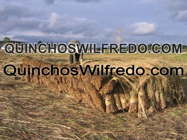 Quinchos Wilfredo