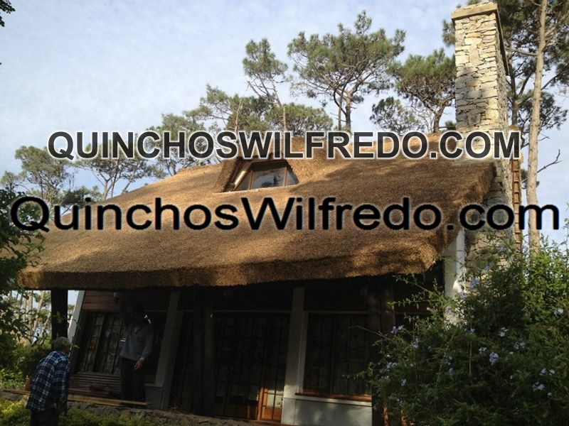 Quinchos Wilfredo