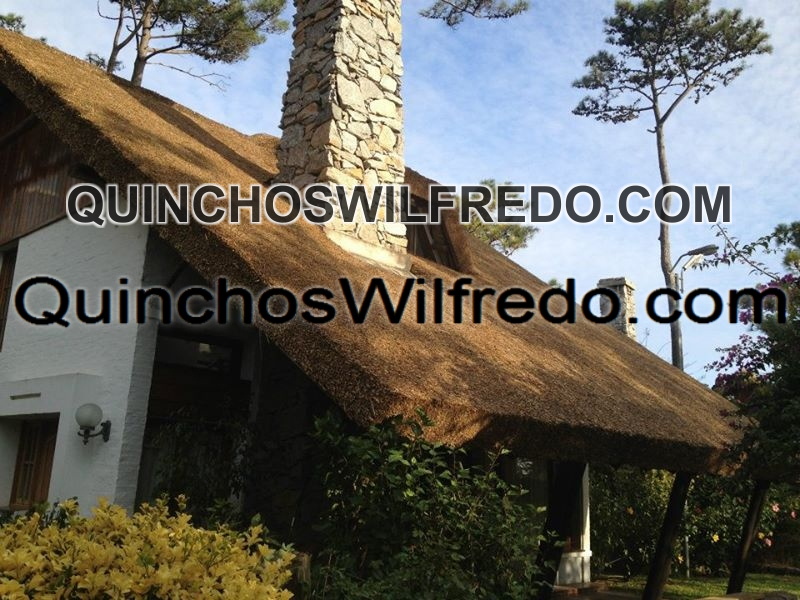 Quinchos Wilfredo