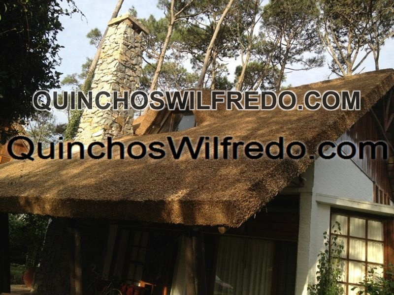 Quinchos Wilfredo