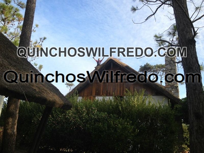 Quinchos Wilfredo