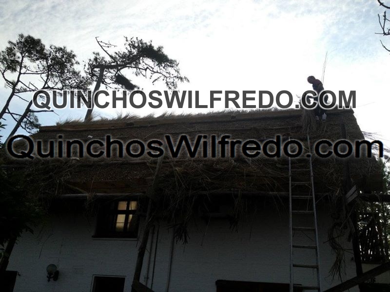 Quinchos Wilfredo
