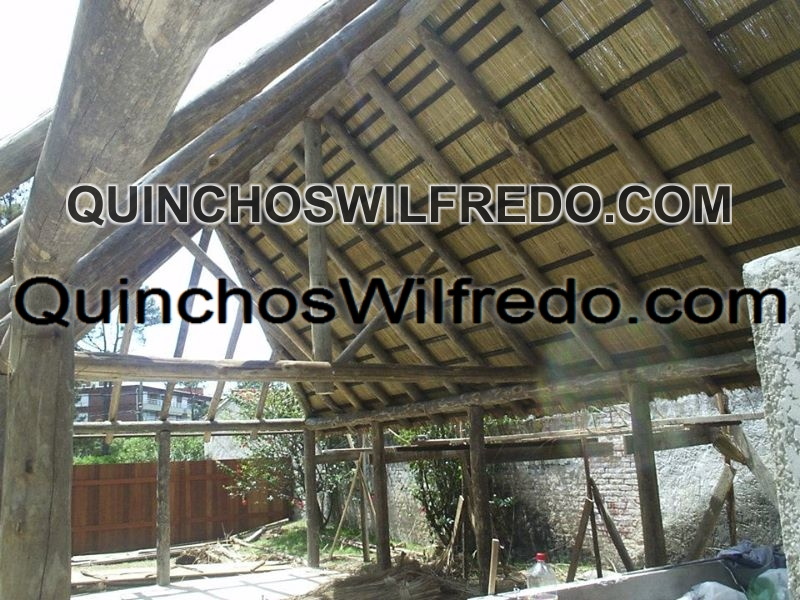 Quinchos Wilfredo