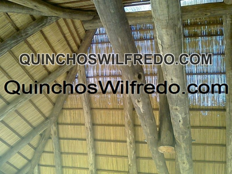 Quinchos Wilfredo
