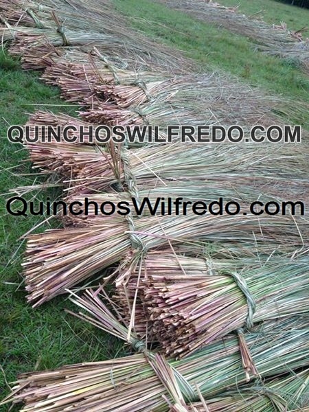 Quinchos Wilfredo