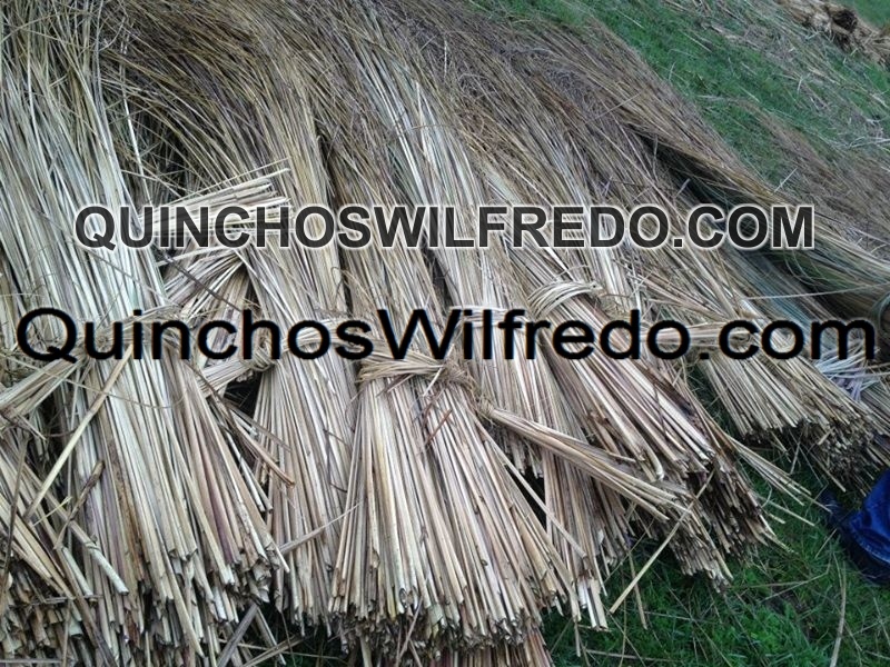 Quinchos Wilfredo