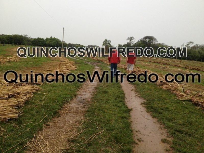 Quinchos Wilfredo