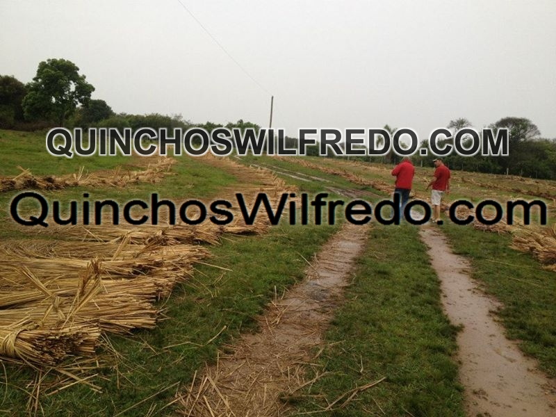 Quinchos Wilfredo