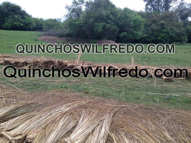 Quinchos Wilfredo