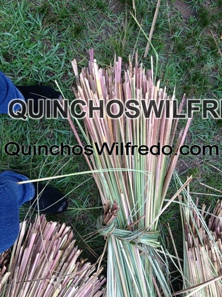 Quinchos Wilfredo