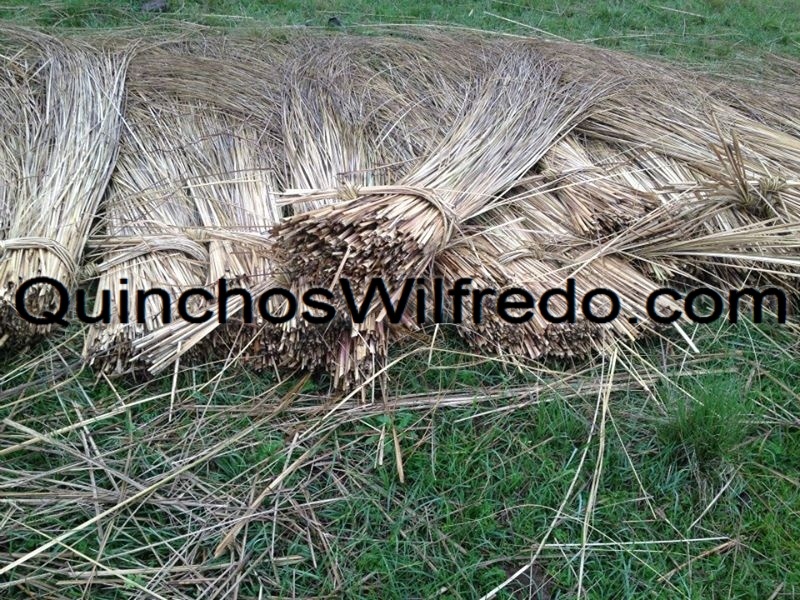 Quinchos Wilfredo
