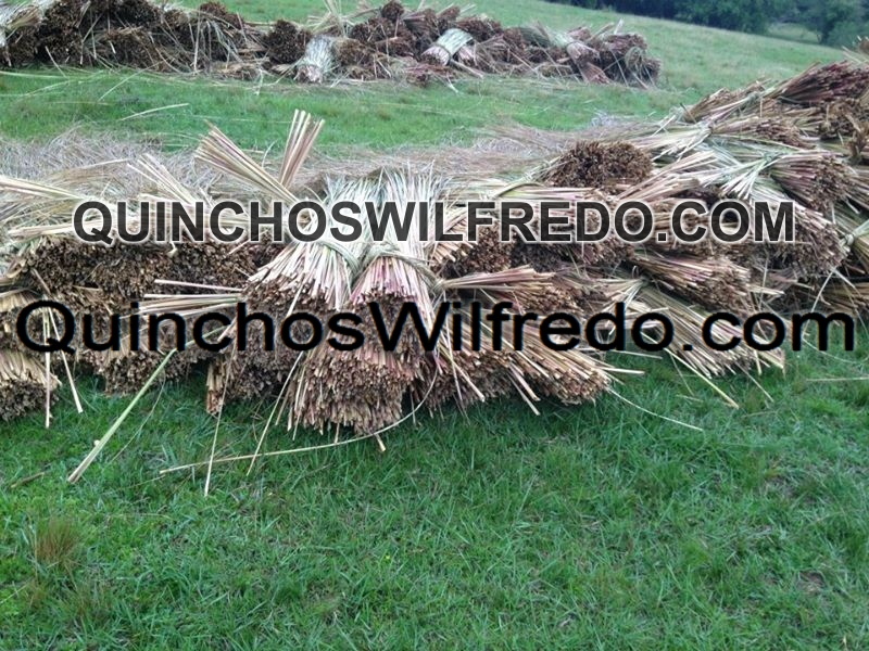 Quinchos Wilfredo