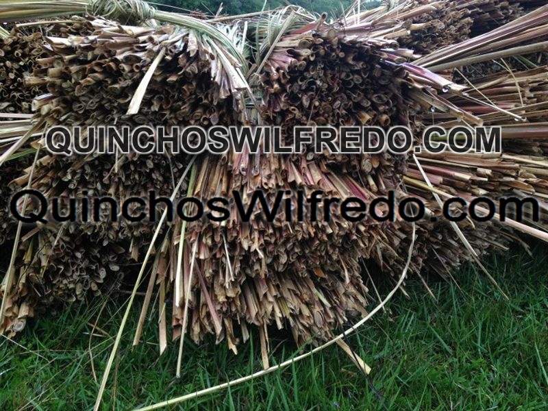 Quinchos Wilfredo