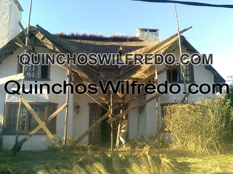 Quinchos Wilfredo