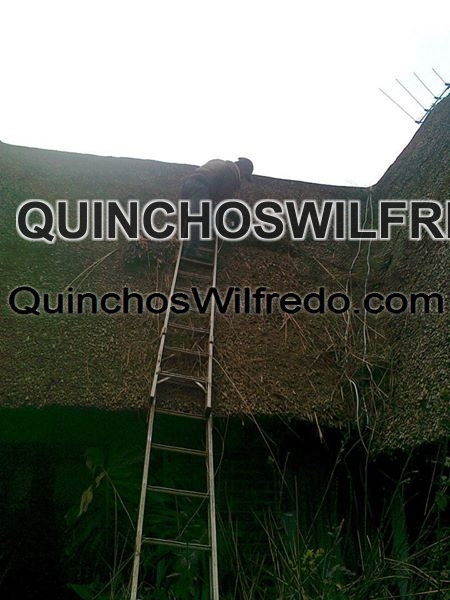 Quinchos Wilfredo