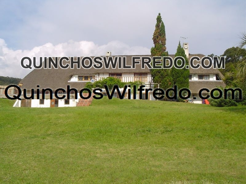 Quinchos Wilfredo