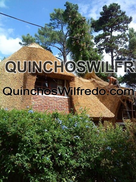 Quinchos Wilfredo