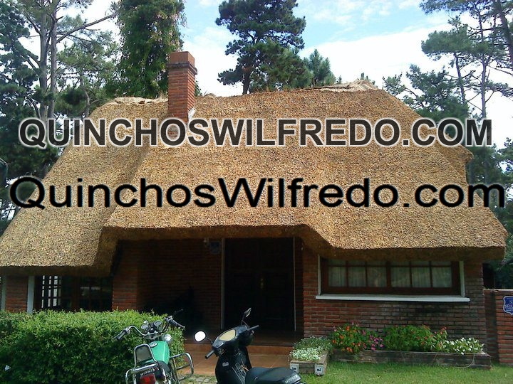 Quinchos Wilfredo