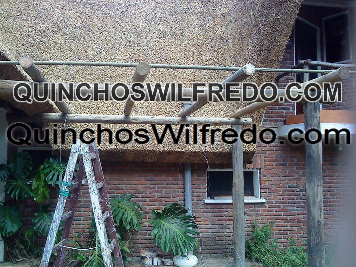 Quinchos Wilfredo