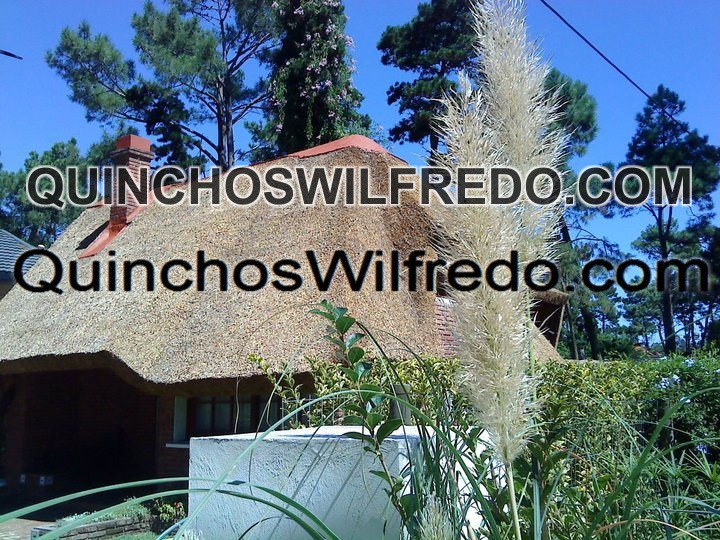 Quinchos Wilfredo