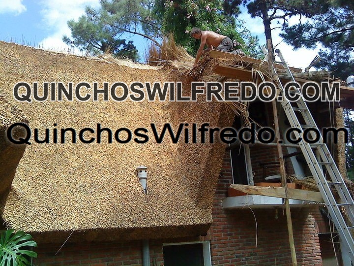 Quinchos Wilfredo